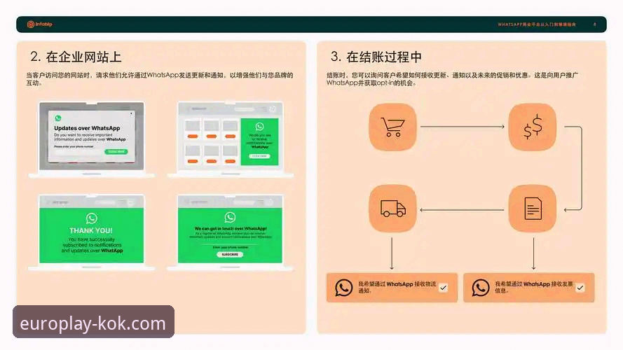 2026KOK体育综合平台实用指南：从注册到手机版APP的完整体验解析